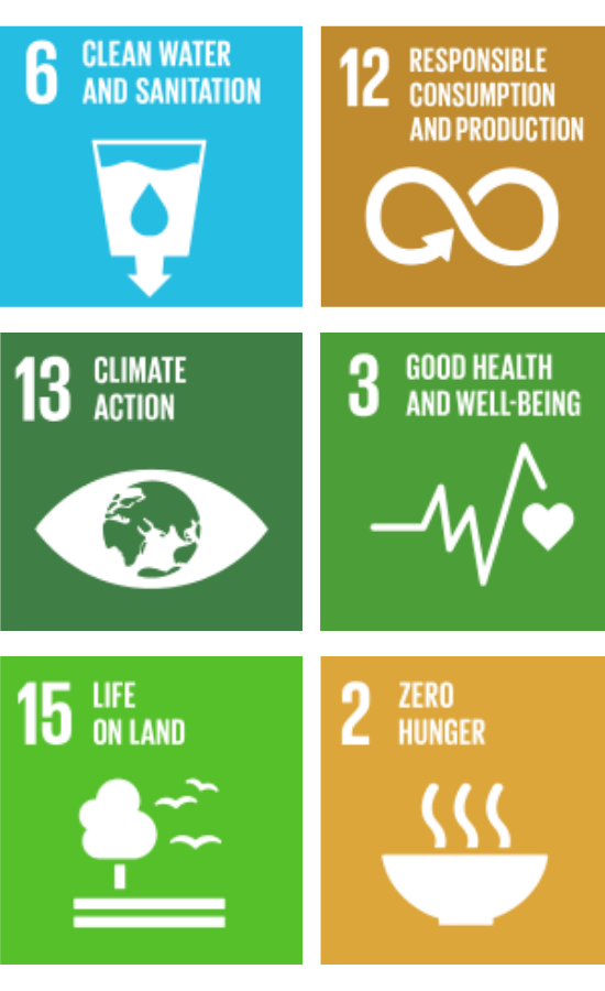 Default SDG Image